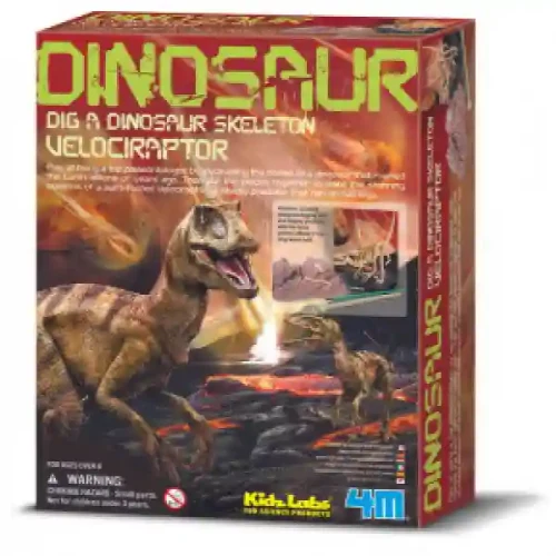 Set pu experimente - 4M Velociraptor Skeleton 00-13234