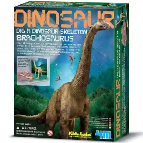 Set pu experimente - 4M Brachiosaurus Skeleton 00-03237