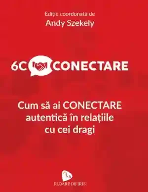6C Conectare