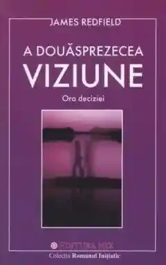 A 12 viziune