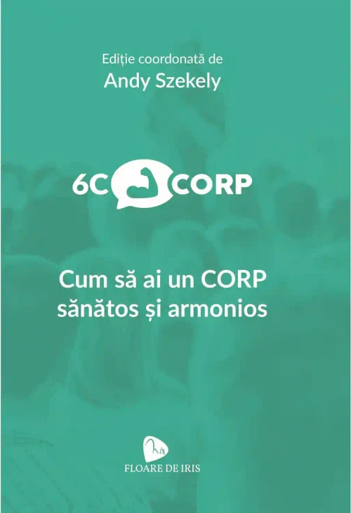6C Corp