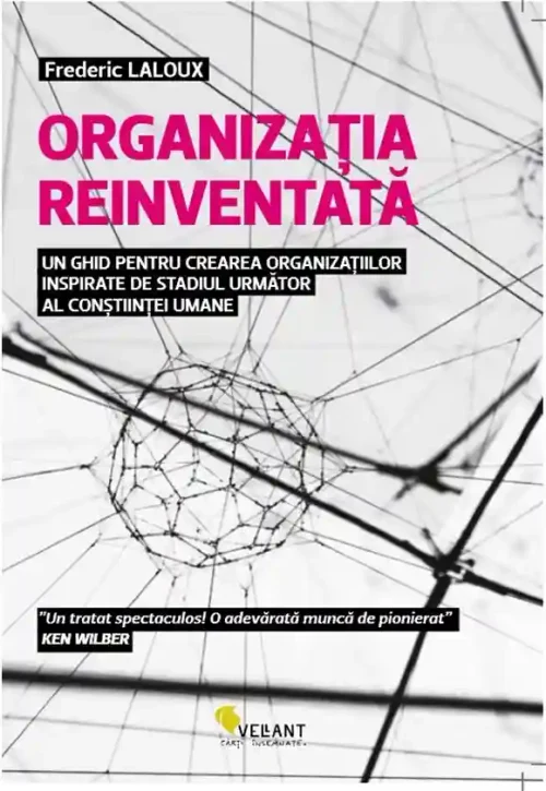 Organizatia reinventata
