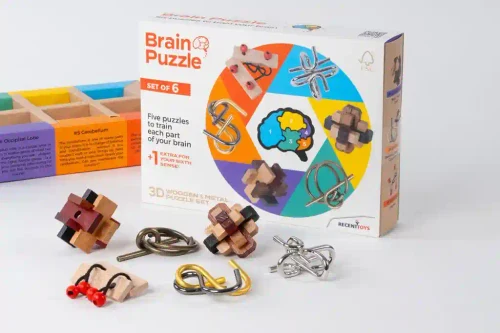 Joc de logica Puzzle mecanic RECENT Brain Set of 6 RT5144